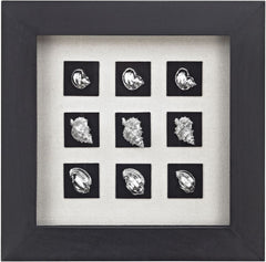 Nye Beach Shadow Box