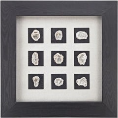 Achates Shadow Box