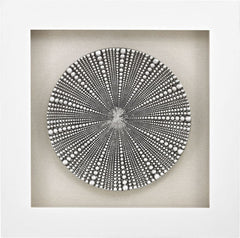 Mystere Shadow Box