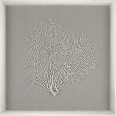 Sea Fan Wall Décor