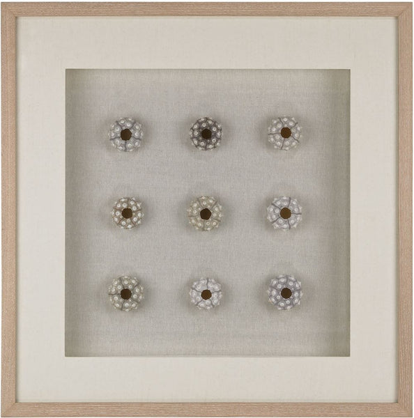 Sea Urchin Wall Décor