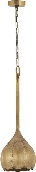 Iron Melon Small Ceiling Lamp