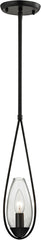 Teardrop 1 Light Pendant In Oil Rubbed Bronze and Clear Glass