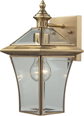 Riverdale 1 Light Outdoor Sconce In Brushed Brass