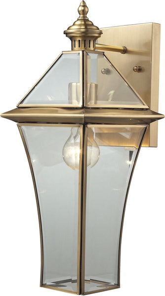 Riverdale 1 Light Outdoor Sconce In Brushed Brass