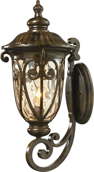 Logansport 1 Light Outdoor Sconce In Hazelnut Bronze