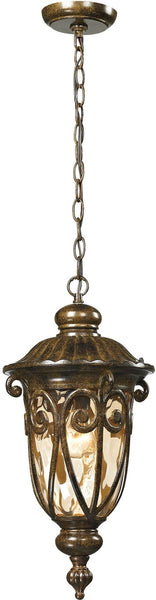 Logansport 1 Light Outdoor Pendant In Hazelnut Bronze