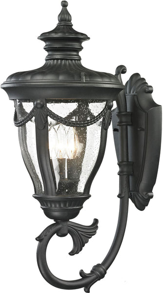 Anise 1 Light Outdoor Sconce In Textured Matte Black