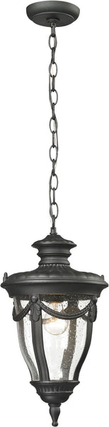 Anise 1 Light Outdoor Pendant In Textured Matte Black