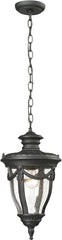 Anise 1 Light Outdoor Pendant In Textured Matte Black