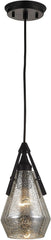 Duncan 1 Light Pendant In Oil Rubbed Bronze and Antique Mercury Glass