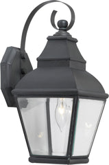 Bristol 1 Light Outdoor Wall Lantern In Charcoal and Beveled Glass