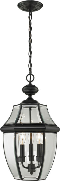Ashford 3 Light Exterior Hanging Lantern In Black