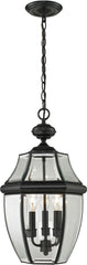 Ashford 3 Light Exterior Hanging Lantern In Black