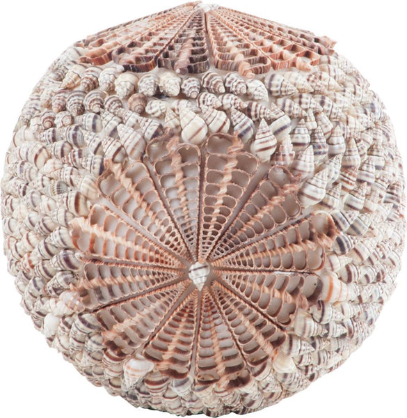 Sliced Shell Spiral Ball