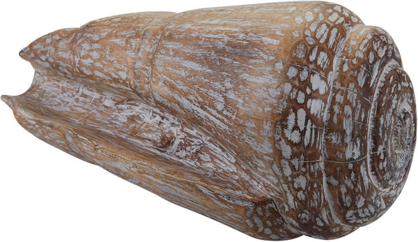 Wooden Cone Shell