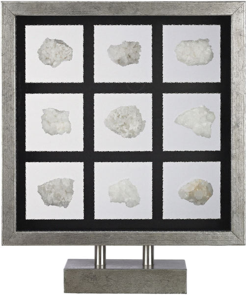Sea Shell Table Top Display