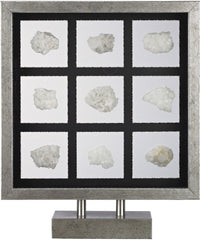 Sea Shell Table Top Display