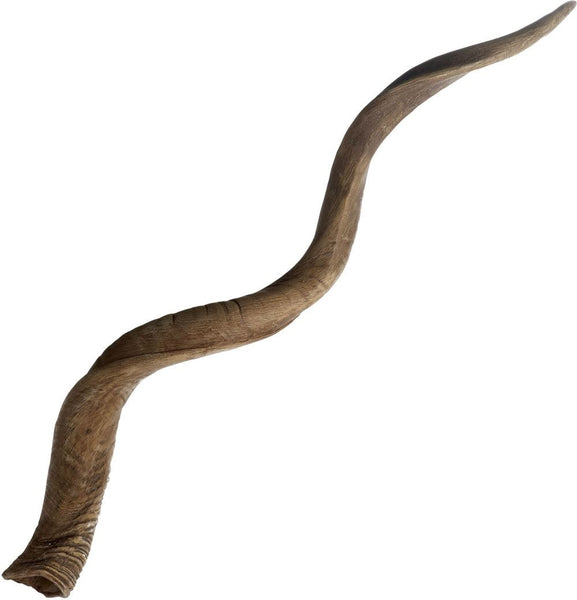 Blonde Curved Kudu Horn