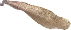 Featherstone Bowl In Champagne Brown