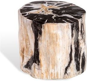 Lestari Petrified Wood Side Table