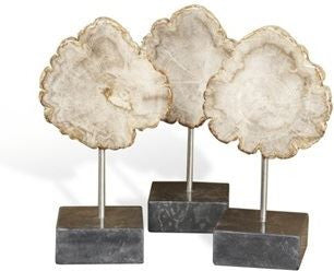 Serang Small Petrified Wood Trio