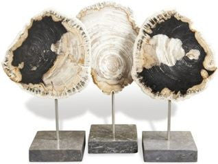 Petrified Wood Trio
