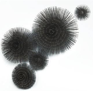 Ostional Wall Urchins