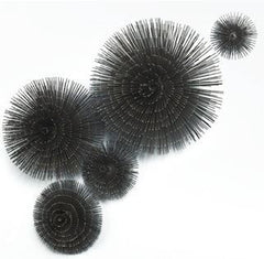 Ostional Wall Urchins
