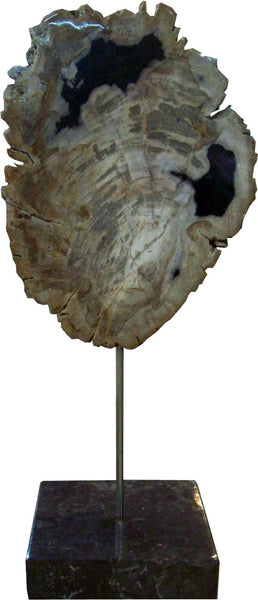 Petrified Wood Sculpture On Black Marble Base