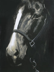 Secretariat Wall Décor