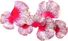 Pink Flower Wall Décor