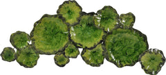 Metal Lily Pad Wall Decor