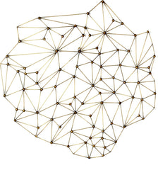Icosagon Wall Decor