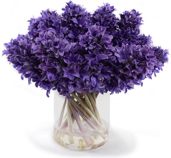 Hyacinth Arrangement