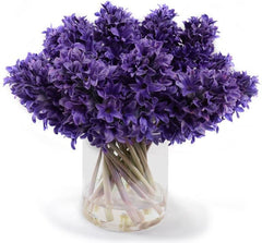 Hyacinth Arrangement