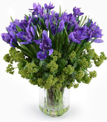 Iris, Viburnum Arrangement