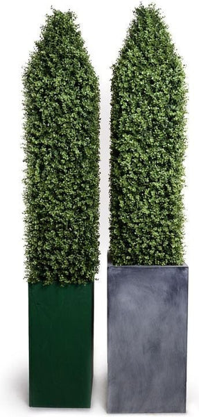 Boxwood Obelisk in Fiberglass Column