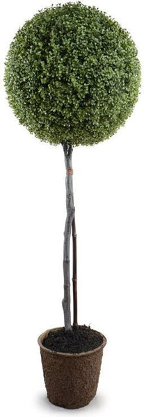 UV Stable Single Boxwood Topiary
