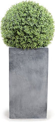 22&quot; Boxwood Ball On Column