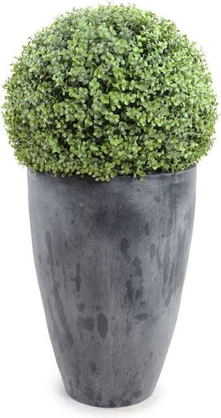 15&quot; Boxwood Ball In Round Tapered Pot