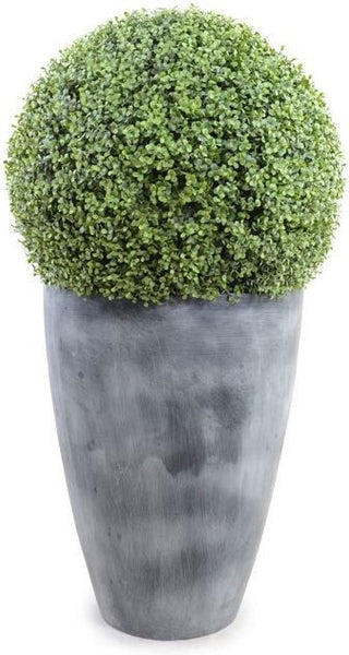 22&quot; Boxwood Ball In Round Tapered Pot