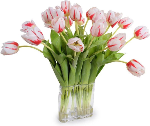 Red-white Tulips Arrangement