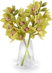 Cymbidium Orchid Arrangement