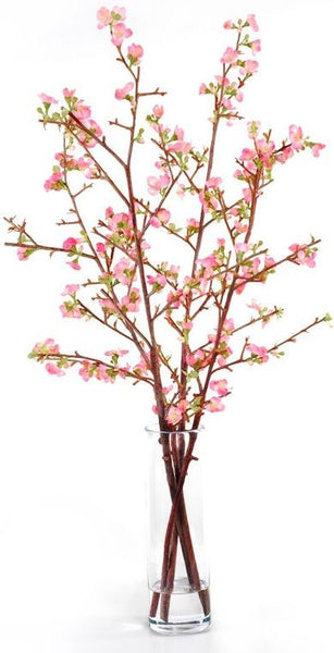 Quince Arrangement