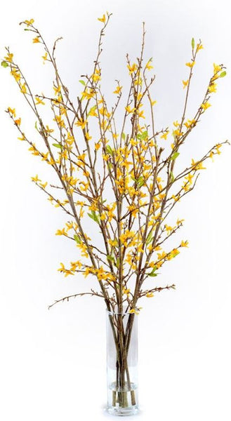 Forsythia Arrangement