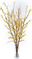 Forsythia Arrangement