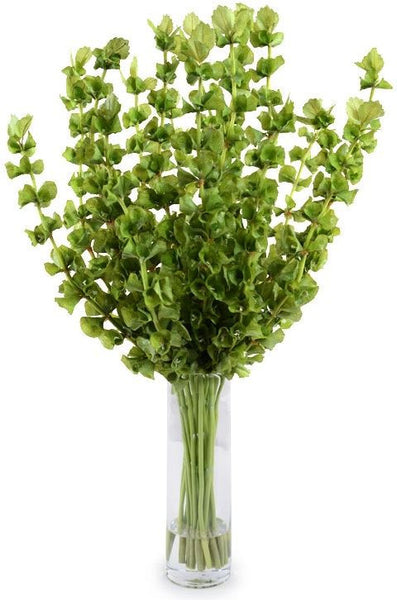 Bells of Ireland Vase