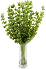 Bells of Ireland Vase