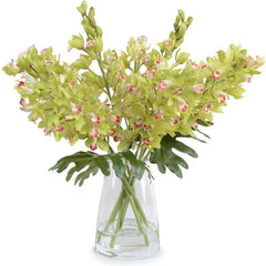 Cymbidium Orchid Bouquet